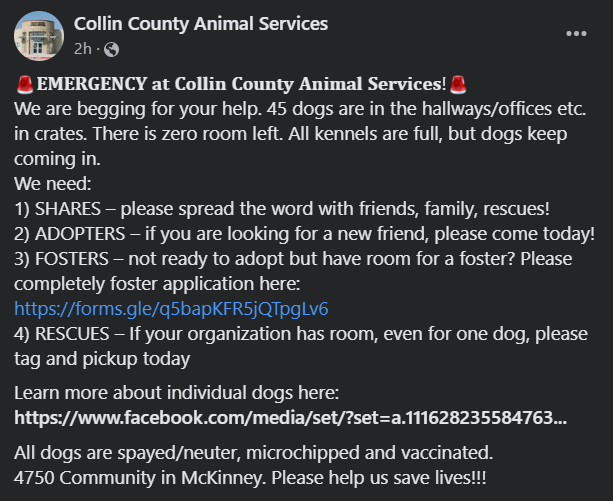 FriscoPD's tweet photo. SHARE - Please take a moment to read and then share this request from Collin County Animal Services.  Any help you can provide is greatly appreciated!

For more info, visit the CCAS website: https://t.co/PelmVz2dfW https://t.co/GJVgrk7qxs