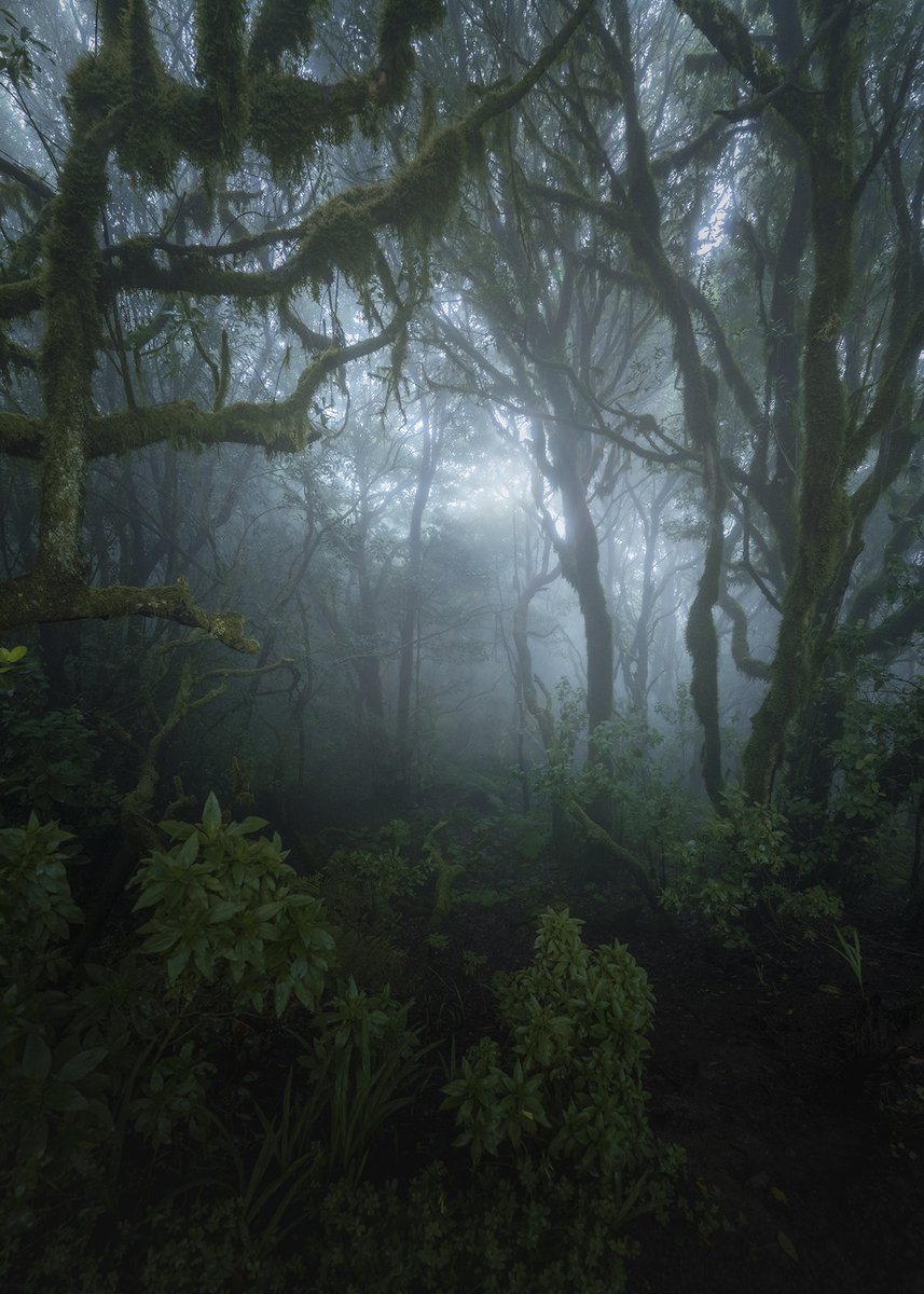 Las condiciones de hoy en Anaga (Tenerife) eran inmejorables. Ha sido como sumergirse en otra dimensión