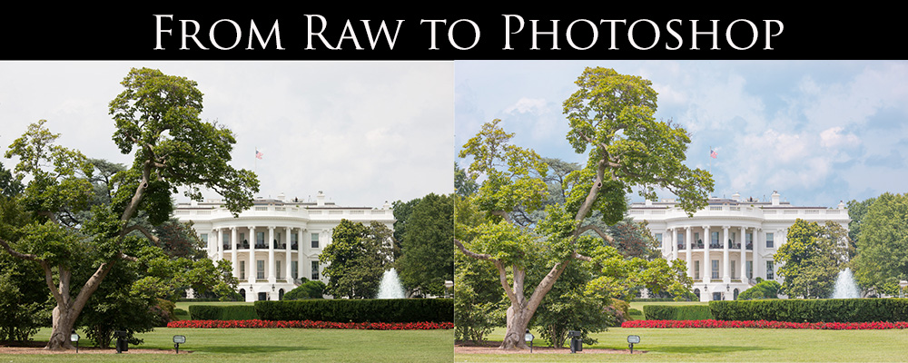 Stephen Johnson tweet media