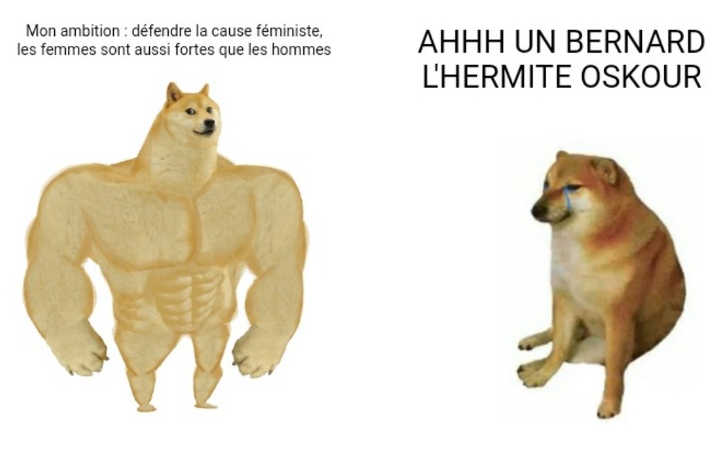 corentinlatim's tweet photo. Grace en un meme #KohLanta #KohLantaLeFeuSacre https://t.co/QsvKC2mTxw