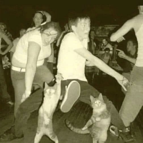 LoganRocs's tweet photo. Caption this… because I can’t wait to find out what is happening here 😂🤣😆
#CaptionThis #CaptionTime #captionedit #caption #WTF #WTH https://t.co/MyuI8TVpjM