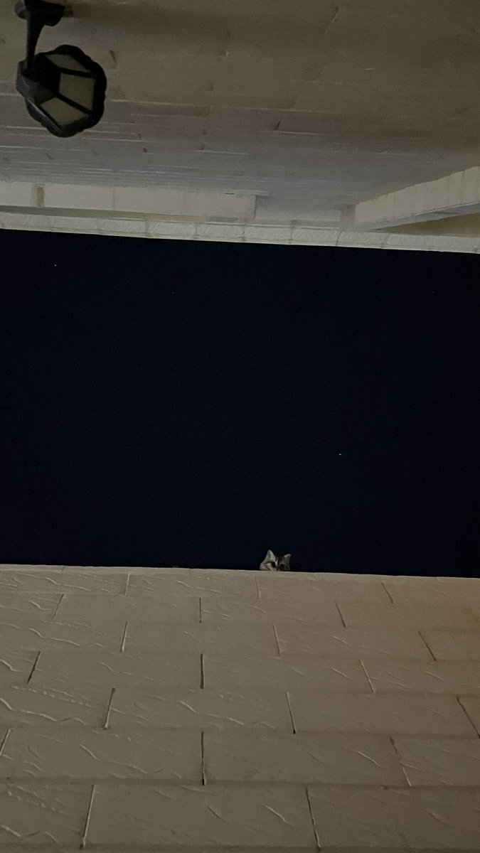 i3cct's tweet photo. تعال اسأل نجوم الليل 🌌 https://t.co/NE5Yv1xIGV