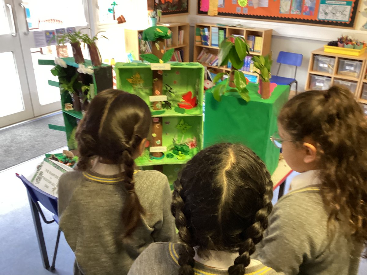 StainesPrepYr3's tweet photo. #StainesPrepYear3 have enjoyed presenting and sharing their rainforest dioramas with each other. A fantastic project showcasing their learning so far this term. So many creative and colourful creations, well done Year 3! https://t.co/2GaVqxPSN4