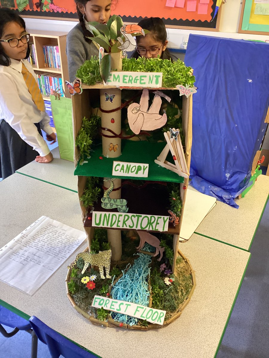 StainesPrepYr3's tweet photo. #StainesPrepYear3 have enjoyed presenting and sharing their rainforest dioramas with each other. A fantastic project showcasing their learning so far this term. So many creative and colourful creations, well done Year 3! https://t.co/2GaVqxPSN4