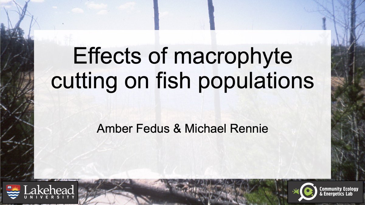 EmilyRLechner's tweet photo. Interested in walleye bio-loggers, or brook trout embryo survival &amp; thermal tolerance ? Are you concerned with how the loss of vegetation is impacting fish species, or maybe interested in how O2 supersaturation impacts thermal tolerance ? Check out some amazing talks @scas_scsa https://t.co/dsCTt2kP33