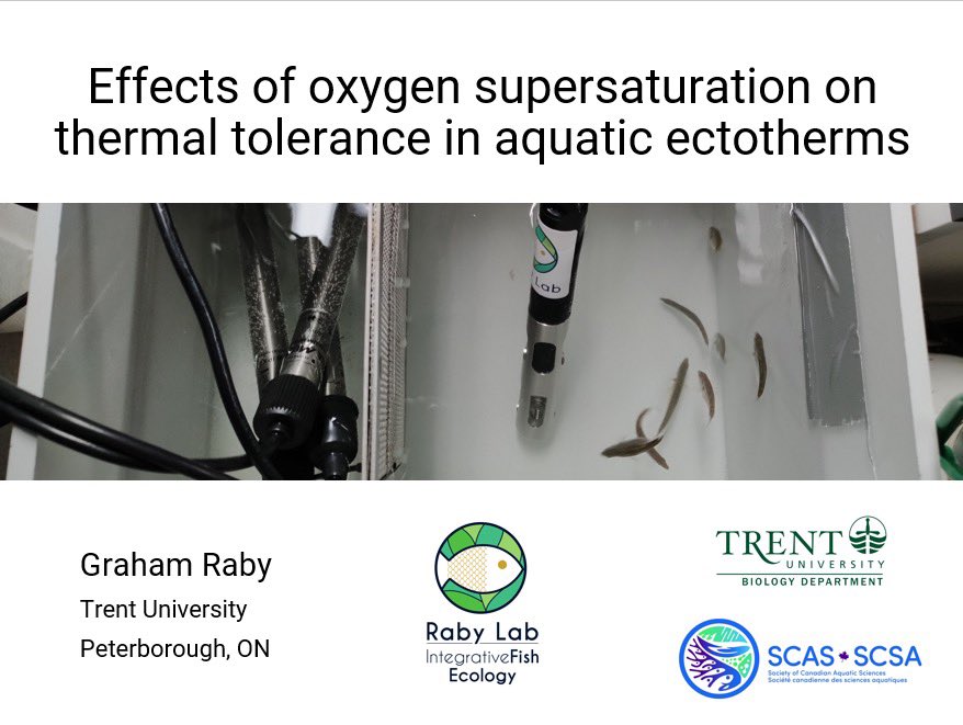 EmilyRLechner's tweet photo. Interested in walleye bio-loggers, or brook trout embryo survival &amp; thermal tolerance ? Are you concerned with how the loss of vegetation is impacting fish species, or maybe interested in how O2 supersaturation impacts thermal tolerance ? Check out some amazing talks @scas_scsa https://t.co/dsCTt2kP33