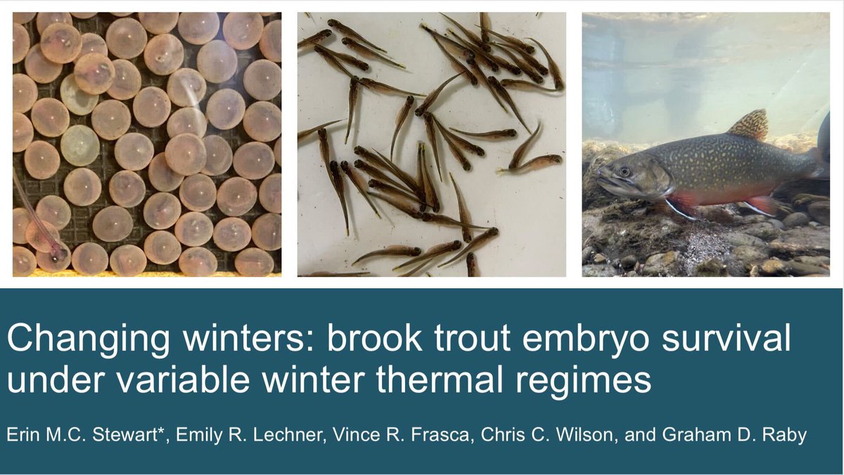 EmilyRLechner's tweet photo. Interested in walleye bio-loggers, or brook trout embryo survival &amp; thermal tolerance ? Are you concerned with how the loss of vegetation is impacting fish species, or maybe interested in how O2 supersaturation impacts thermal tolerance ? Check out some amazing talks @scas_scsa https://t.co/dsCTt2kP33