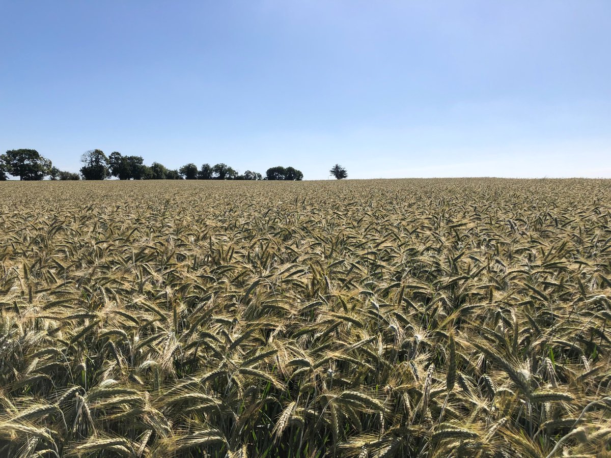 AureA2C's tweet image. En route pour de nouvelles aventures! 
#Agronomie #agriculture #conseil #indépendant