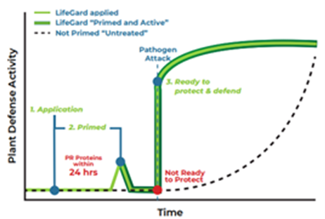 OntAg's tweet photo. Lifegard uses naturally occurring bacterium to trigger the plant to create proteins that prime your crops so when an infection occurs the immune defense is ready.
Within 24 hrs of application your crop is ready to defend against disease.
#Ad #OfferingChoice #OFVC23 https://t.co/yvPikIRf59