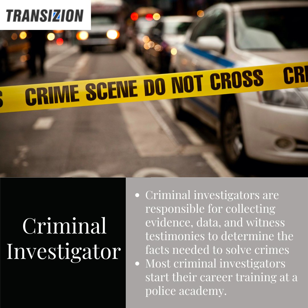 Transizion tweet media