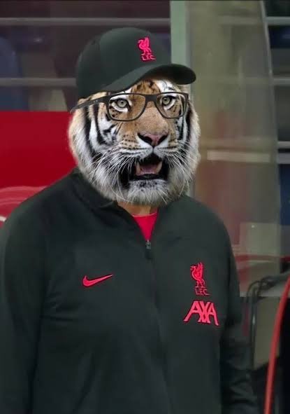 nocontextfooty's tweet photo. https://t.co/jkNrLzwtrf
