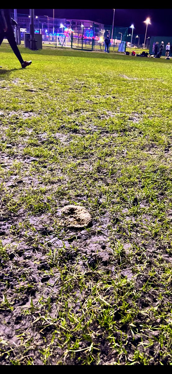 garbow10's tweet photo. There's loads of places in the Cynon Valley to walk your dogs,why go near a sports field(ynys) where children play/train and allow it do this and not pick it up. I asked the Groundsman/park keeper for a shovel &amp; he said he didn't have one @RCTCouncil @SportRCT @AberdareOnline https://t.co/d4V7XUrFA1