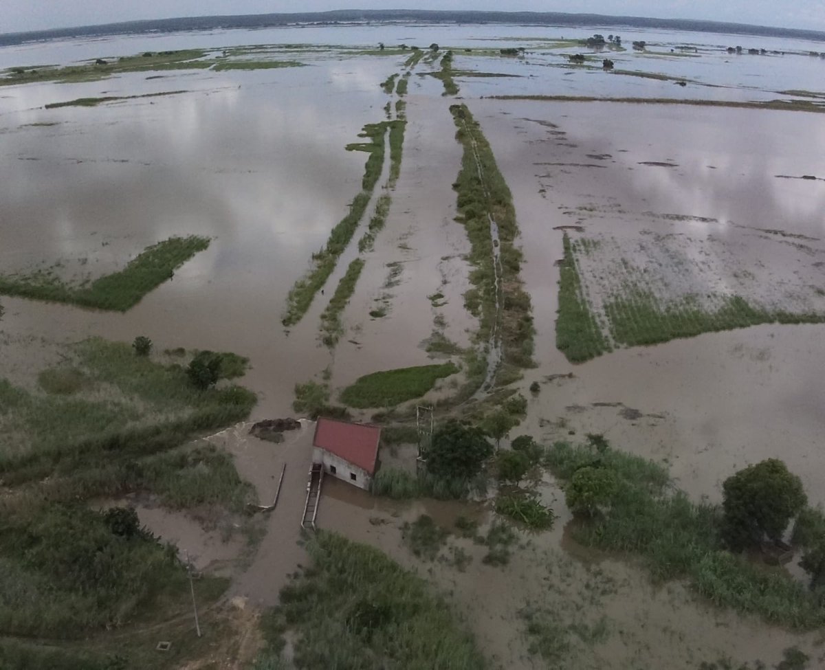 atcochrane's tweet photo. @zenaidamz Spare a thought for farmers battling the flood waters in the #Incomati basin. River levels comparable with 2000 #floods. Extensive #sugarcane areas inundated and flood protection breached. An unmitigated disaster to the thousands of households dependent on the #sugar industry 😔 https://t.co/7yrhzwSsgP