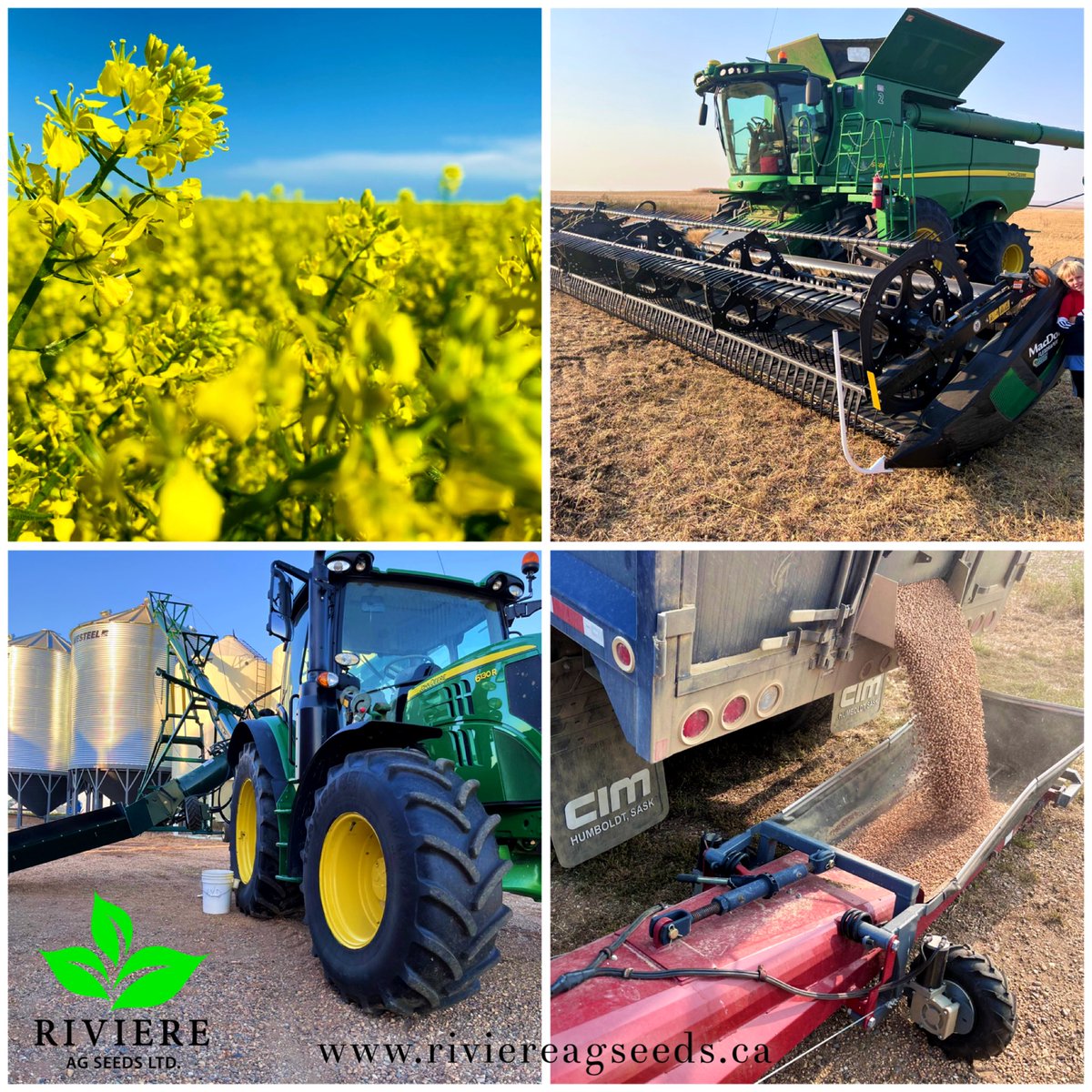 𝑹𝒊𝒗𝒊𝒆𝒓𝒆 𝑨𝒈 𝑺𝒆𝒆𝒅𝒔 𝑳𝒕𝒅 🌾 (@riviereagseeds) on Twitter photo 