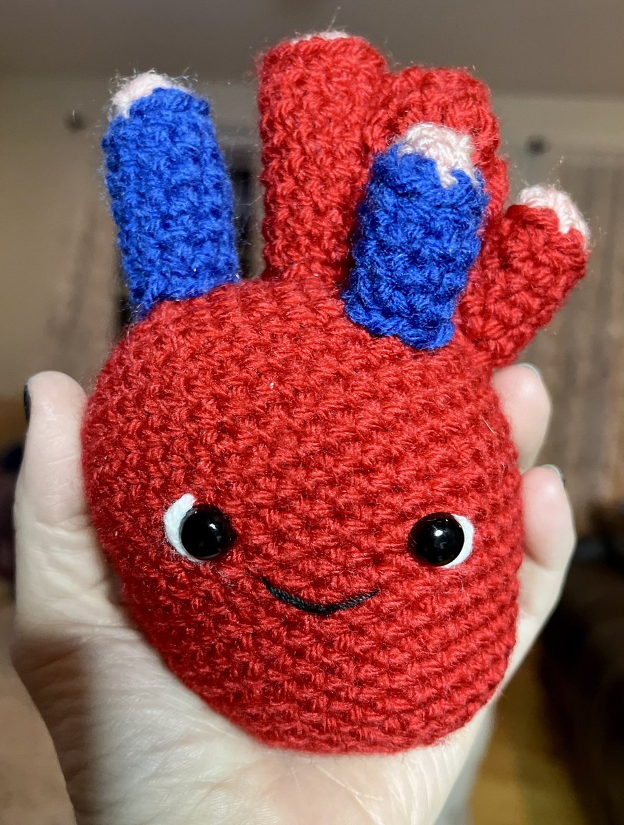 ryapejianFNP's tweet photo. Received this cutie as part of a care package from fellow #EPeeps &amp; #cardionerd, @HeartRhythmNP. Not only did this make my heart swell, it’s also inspired patterns to seek out for practice while still home bound from last month’s wreck. Handmade by 
@SammichStitches.🫀#crochet https://t.co/xpZeC5cS2s