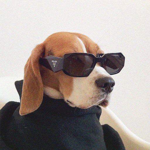 jhayusb's tweet photo. when i say i got that dog in me this is what i mean https://t.co/gaQwyBiX3a