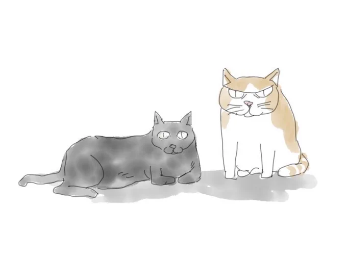 2/22ということで仲の悪い猫さんズ置いときます 