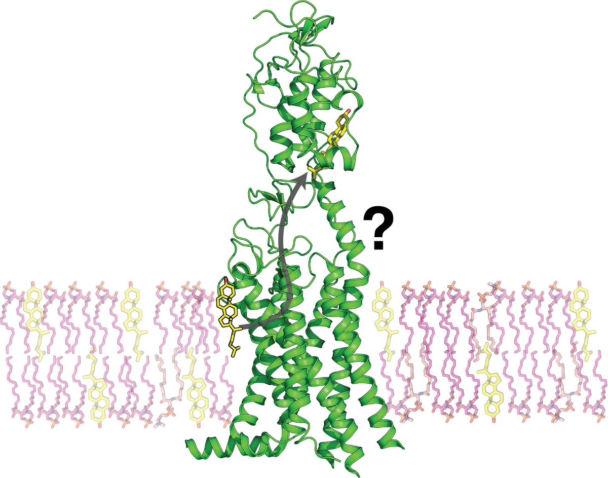 Shukla Group tweet media