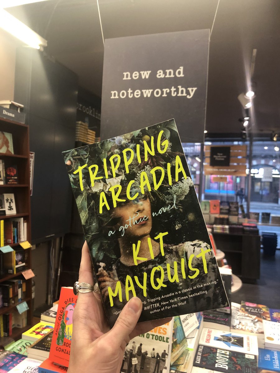 Kit Mayquist- Pre-Order THESE DREAMING SPIRES tweet media