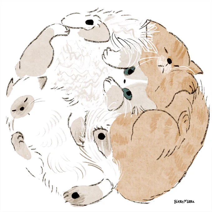 #猫の日 