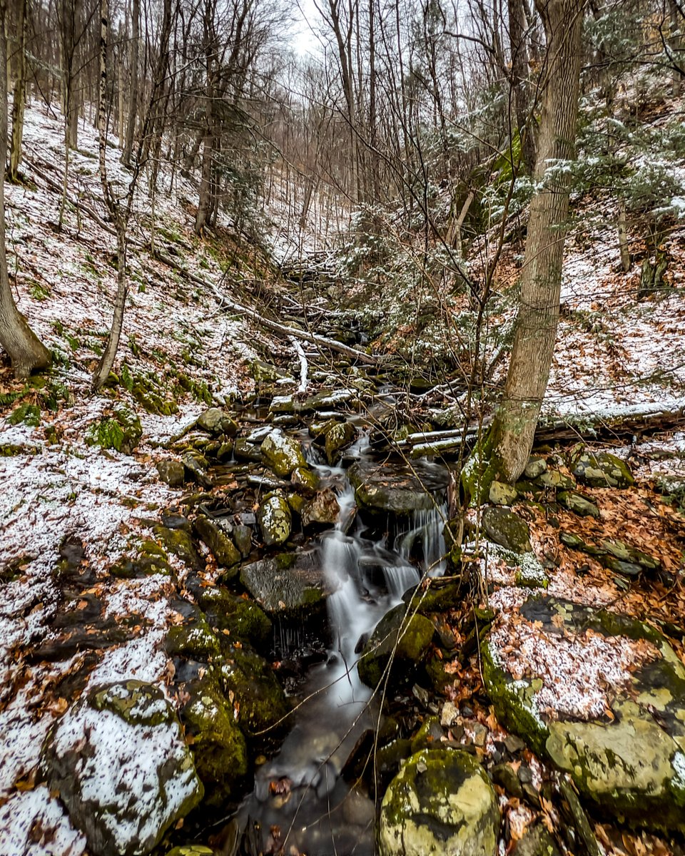 Fresh snow on the trail led to some pretty good shots!
#365photography2023, #potd2023, #photoaday, #everydayphotographer, #photooftheday, #pad2023-052, #picture3339, #shotoniphone13pro, #stream, #longexposure, #onthetrail, #kabtrail, #massachusettswoods, #freshsnow