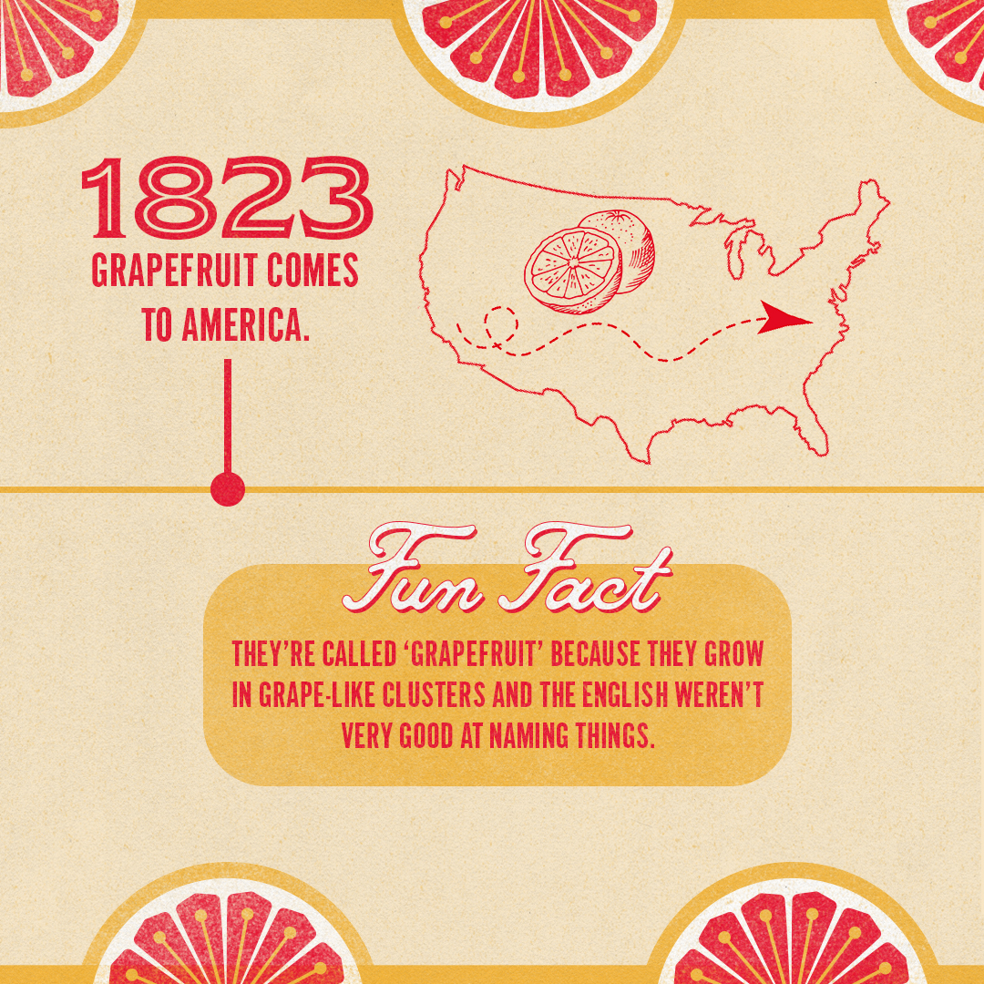 ShinerBeer's tweet image. Who knew history could be so refreshing? 🍺 Crack open a citrusy Ruby Redbird for a historically great beer. #ShinerBeer #RubyRedbird