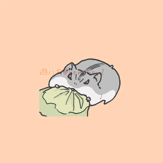怒れるジャンガリアンハムスターを見て今日も一日頑張りましょう #イラスト 