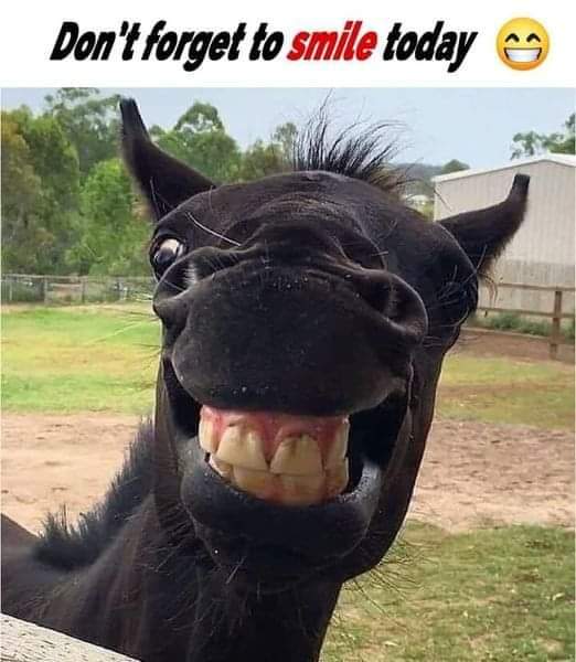 Cali_The_Mali's tweet photo. #Smile #SmileDaily https://t.co/AegBZixIsD
