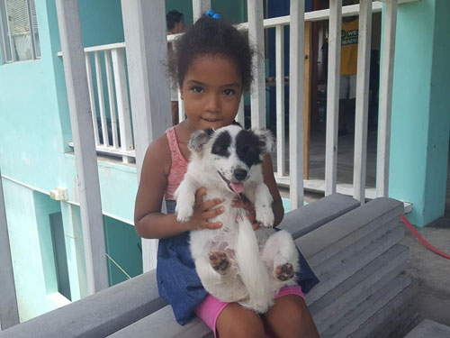 PackforaPurpose's tweet photo. Make a difference on your vacation when you stay with @bluegrenadines St. Vincent and the Grenadines. Bring supplies for the Bequia Animal Protection Alliance #love #giveback #PackforaPurpose https://t.co/4QbBY7DT0G https://t.co/b2EVQtdFXq