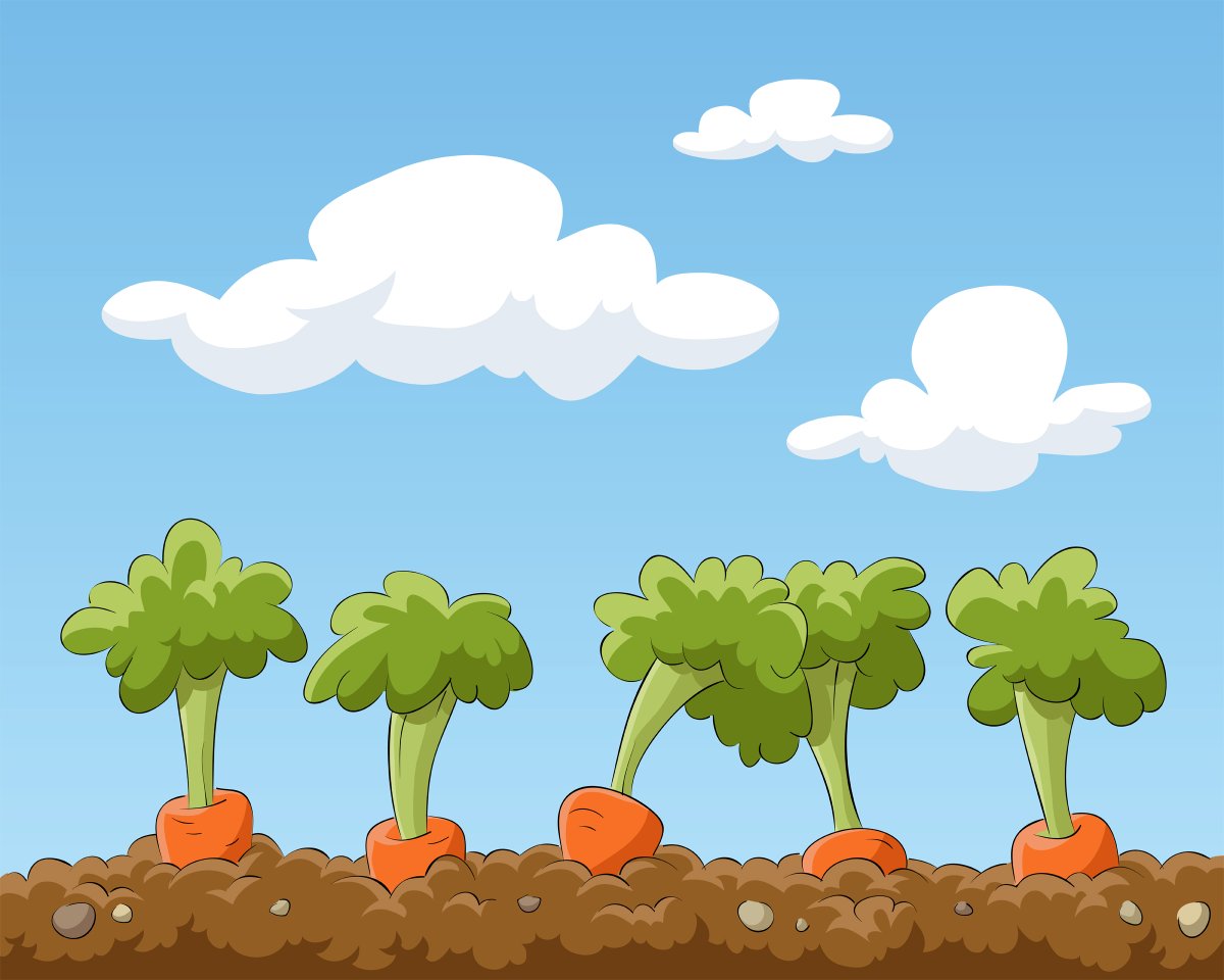 Starting a Garden: Cool-Season Vegetables and 5 cool-season crops to grow <a href="/ILextension/">Illinois Extension</a> bit.ly/3YY5YUA