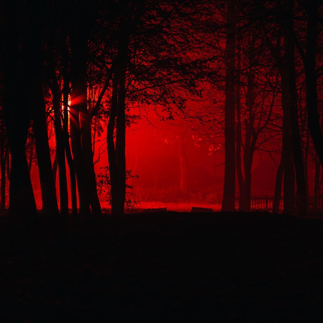 HarborHorror's tweet photo. The end is near... to use HEARTS14 for 14% off all spellbooks, amulets, and reserved spaces of land! 
One week left! Grab your discount before it's too late. 
☠️
☠️
#metaverse #horror #horrorharbor #blockchain #gaming #horrorgaming #creepy #horrormovies #horrorfan #instahorror https://t.co/klH7aMTQeq