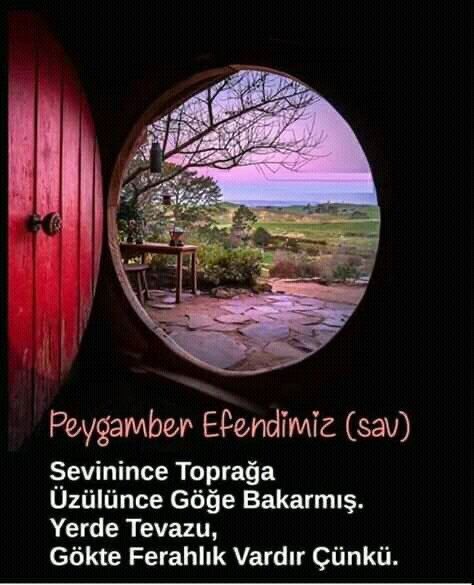 Gözümüz hep göklerde bu ara nefes almak hiç bu kadar zor olmamıştı 😔😭 #CadıraİhtiyacımızVar #CadırlarNerede #cadır #Çadıryokkkk