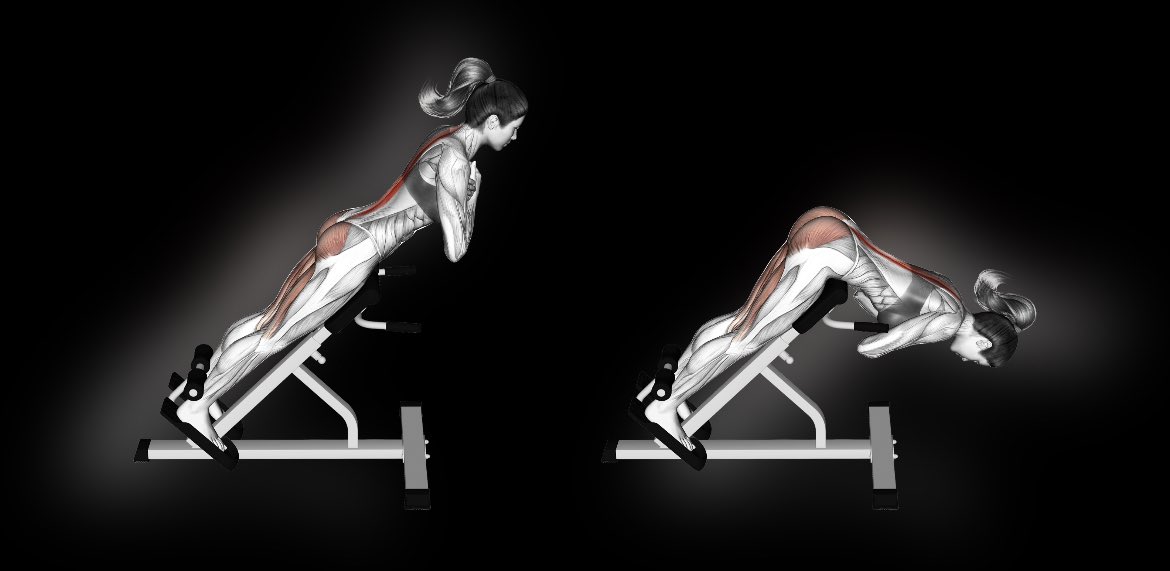mythoughtfood's tweet photo. Seated lives wreck people’s lower backs in many ways.

You get hurt when you pick things up because your glutes and hamstrings are too weak.

Back Extensions teach you how to hinge your hips and load these powerful muscles properly.

They are life savers. https://t.co/NRC1LAPa4f