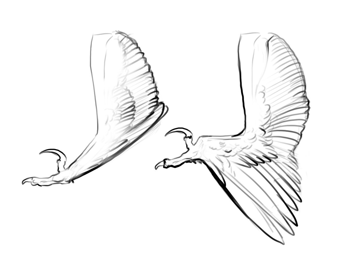 BStokkermans's tweet photo. I like this suggestion a lot! If the feathers were folded by default then they could be extended by bending lifting up the ankle. the feathers would then extend every time the leg was lifted and snap back up into a fold whenever the foot was placed. Curious as to thoughts on this https://t.co/eTK2C2cOne