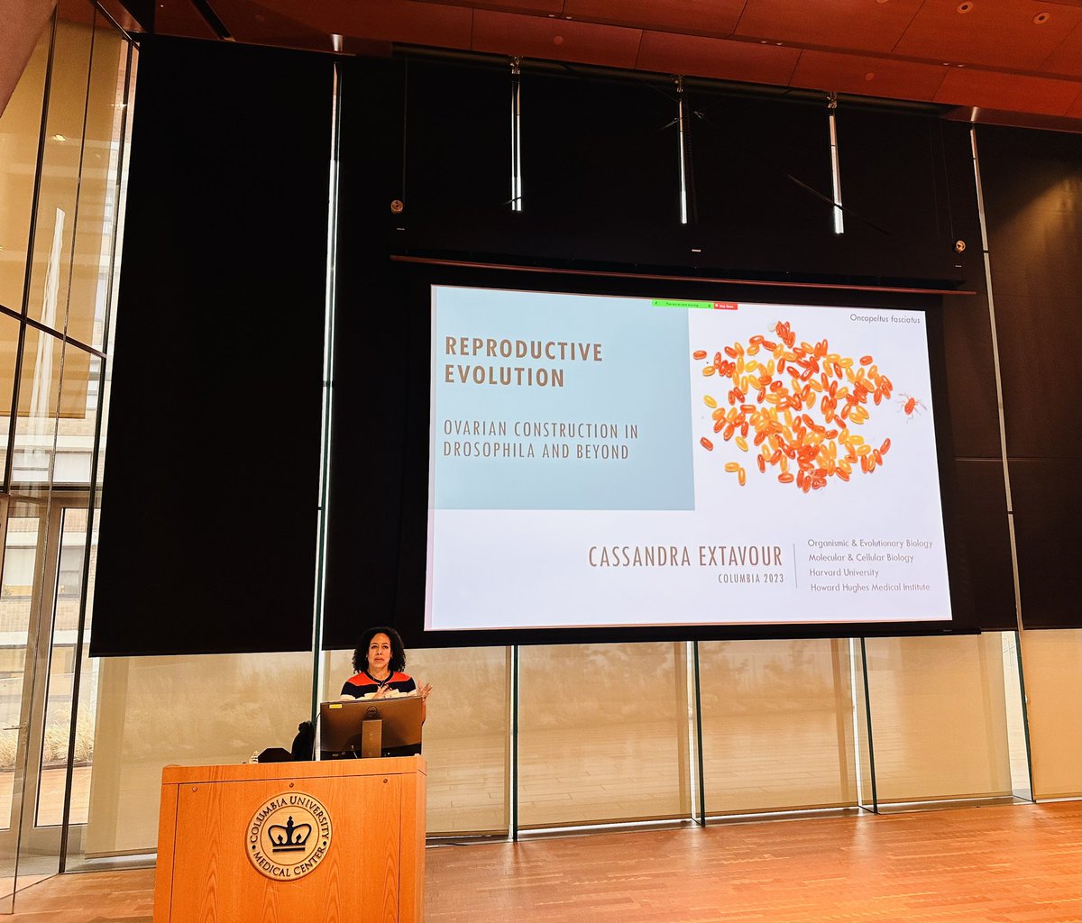 Ishmail Abdus-Saboor (@ishmailsaboor) on Twitter photo Tour de force seminar today at Columbia Genetics Dpt from the brilliant <a href="/redmakeda/">Cassandra Extavour</a> from <a href="/HarvardOEB/">Harvard Organismic & Evolutionary Biology</a> <a href="/HHMINEWS/">HHMI</a>. Evolutionary developmental genetics of reproduction across insects from Boston to Hawaii and many other locations. Wow. Tour de force seminar today at Columbia Genetics Dpt from the brilliant <a href="/redmakeda/">Cassandra Extavour</a> from <a href="/HarvardOEB/">Harvard Organismic & Evolutionary Biology</a> <a href="/HHMINEWS/">HHMI</a>. Evolutionary developmental genetics of reproduction across insects from Boston to Hawaii and many other locations. Wow.