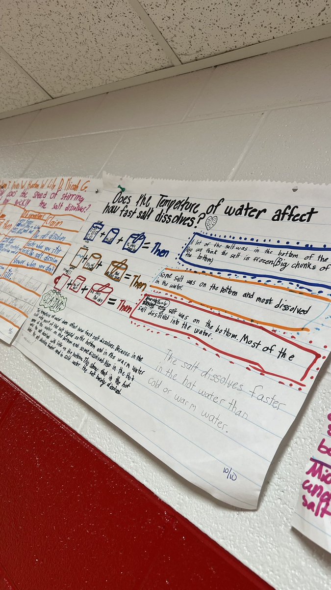 Rachel Cox tweet media