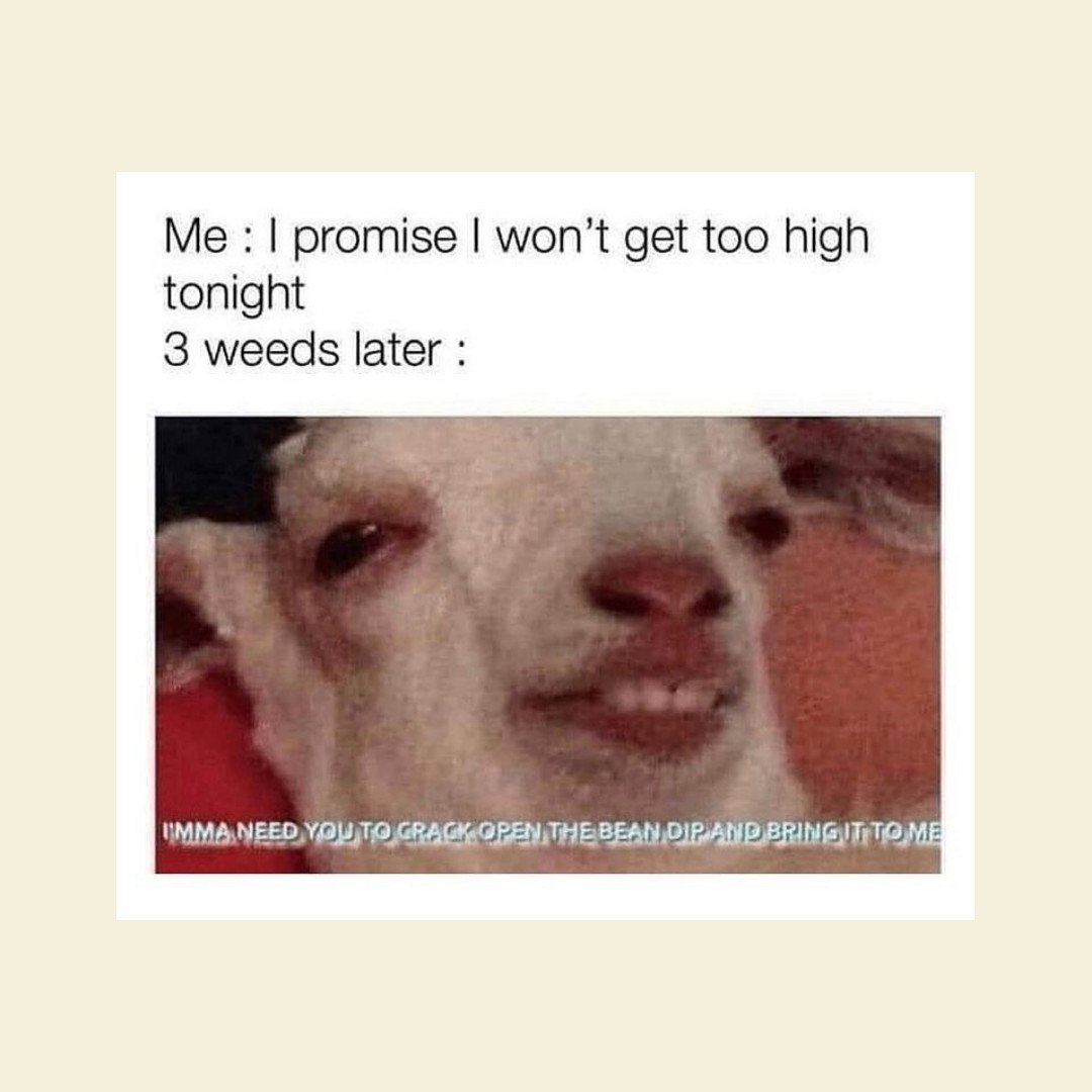 StayWokeNM's tweet image. Food always tastes better after a little gigglebush 🤭 😋  What's your favorite snack to munch on? 🌮 🥘 🧇 

#mememondayontuesday #localsmokeshop #albuquerque #newmexico