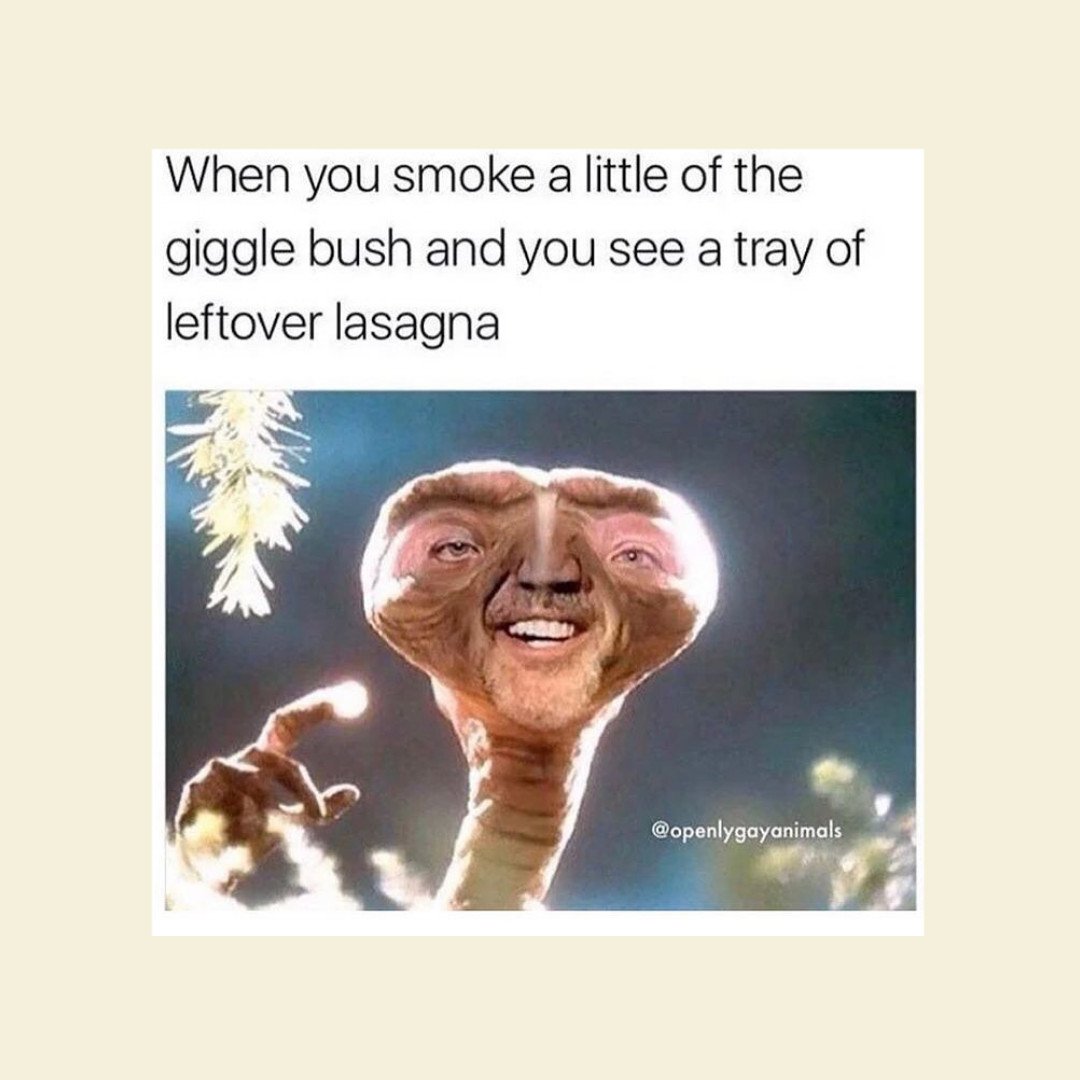 StayWokeNM's tweet image. Food always tastes better after a little gigglebush 🤭 😋  What's your favorite snack to munch on? 🌮 🥘 🧇 

#mememondayontuesday #localsmokeshop #albuquerque #newmexico