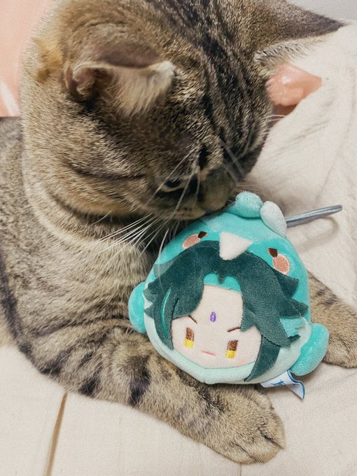 普段は隔離している 