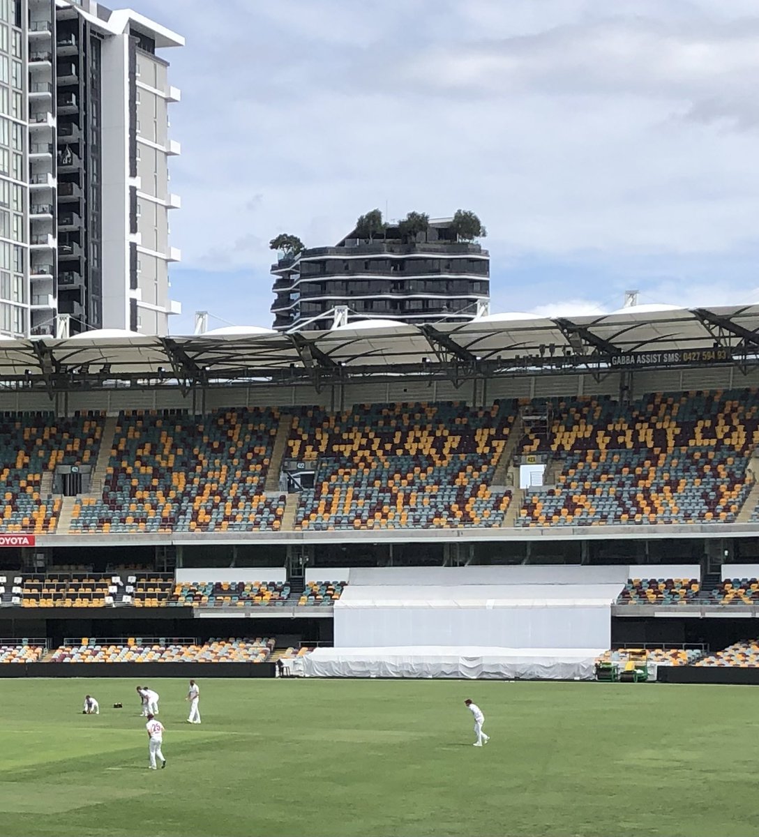 frances_steve's tweet photo. The trees on the penthouse near the #Gabba in #Brisbane have grown quickly. #fallingbranches https://t.co/1WMJznfDUs