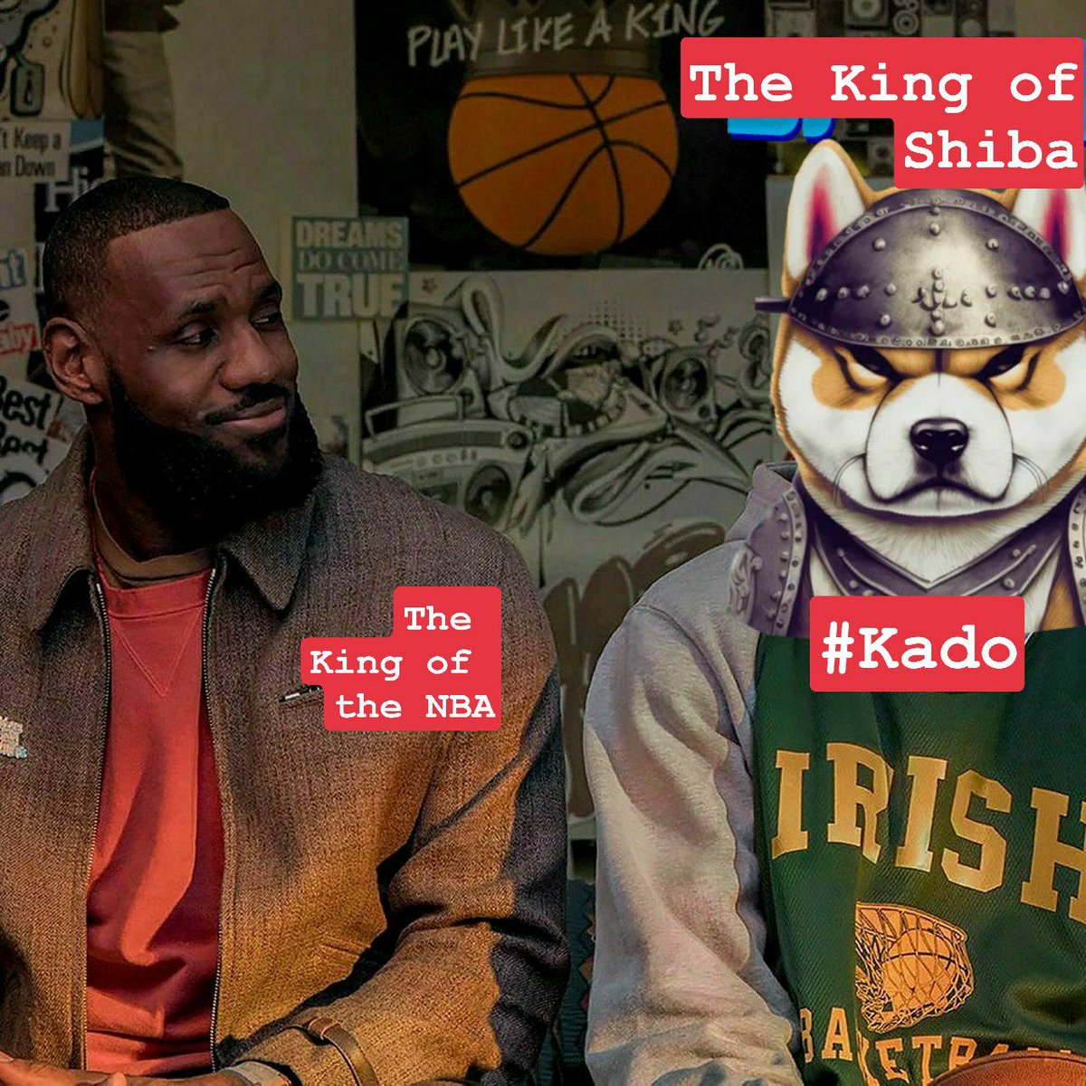 Kado_ERC's tweet photo. @ShibInfo #THEKINGOFSHIBA https://t.co/NPhKcBBfA0