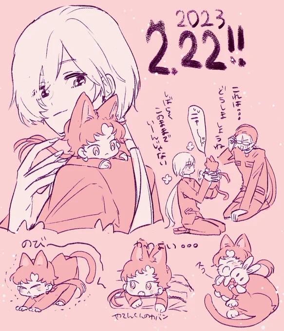 猫の日だよ星野 