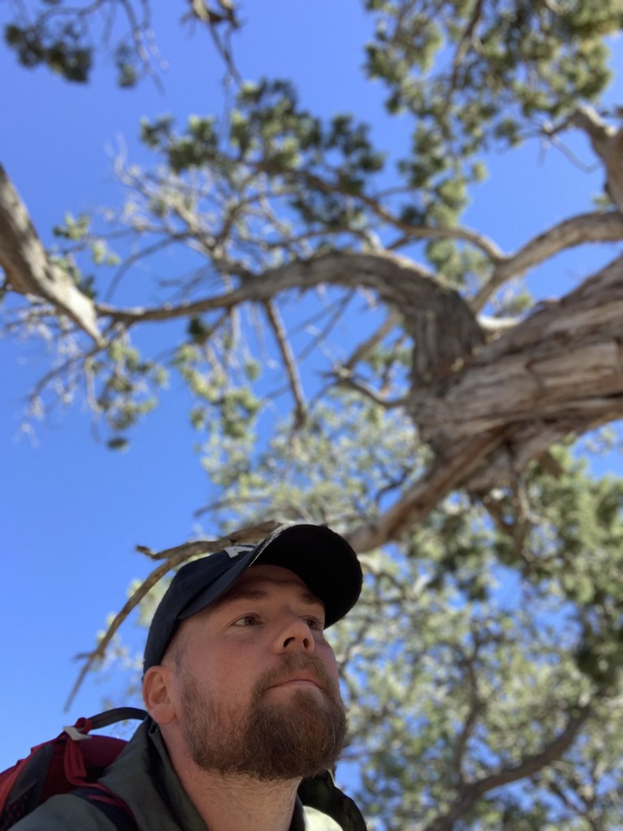 EleazarsEyes7's tweet image. Just a mountain man from near #ATL pretending to be from #TheGrandCanyon #CoolTree #Petrie #TheLandBeforeTime 🦤🦖