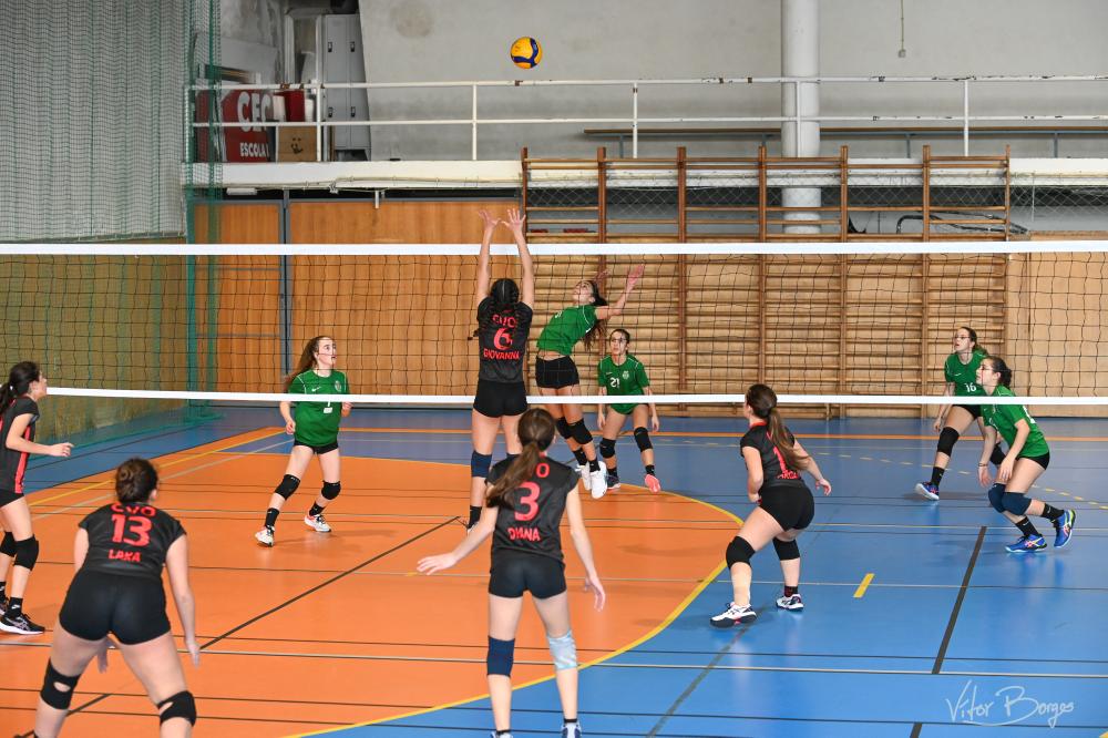 VolFemininoSCP's tweet photo. Alguns momentos, das nossas Infantis, no VIII Torneio de Carnaval, organizado pelo CVO... 💪
Fotografias fantásticas! 🤩🦁💚
#SportingCP
#voleibolformfemscp
#torneios
#carnaval
#infantis
#cvo https://t.co/Qay0nkvGWS