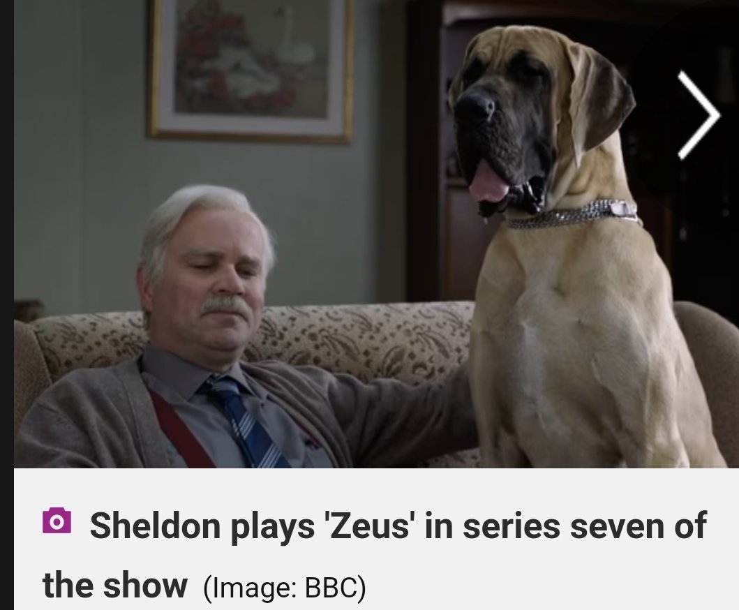 TheIndyNinja1's tweet photo. If you have been on an indy march the chances are you have met Sheldon indydug who has crossed the rainbow bridge. Sheldon played Zeus in Still Game. https://t.co/fh4SQFP4yH
