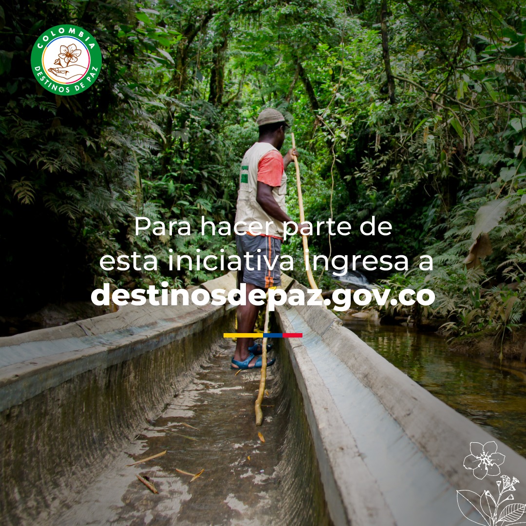 MincomercioCo's tweet photo. El sello #ColombiaDestinosDePaz permite visibilizar y dignificar la memoria histórica y fomentar desde el turismo, una cultura de paz, reconciliación y convivencia. Conoce más y haz parte de esta iniciativa en https://t.co/d4QkFANSO0 https://t.co/cW40MvBu1W