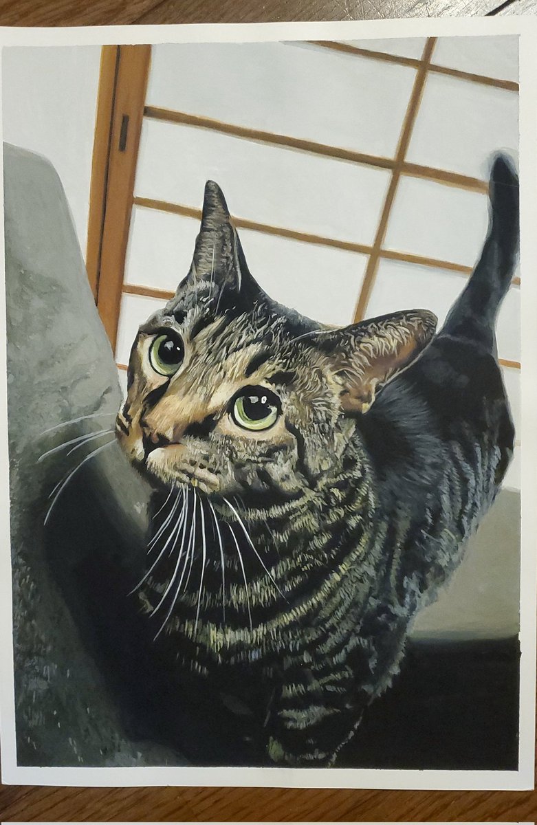 「#猫の日2023  #イラストポスターカラーの猫さん#にゃんにゃんにゃんの日 #」|山田 めしが【写実絵師×調理師】のイラスト