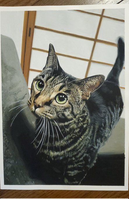 #猫の日2023  #イラストポスターカラーの猫さん#にゃんにゃんにゃんの日 #絵描きさんと繫がりたい 