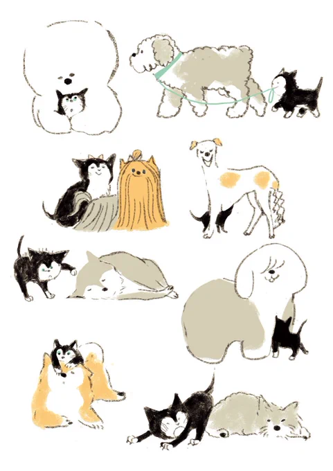 #猫の日 