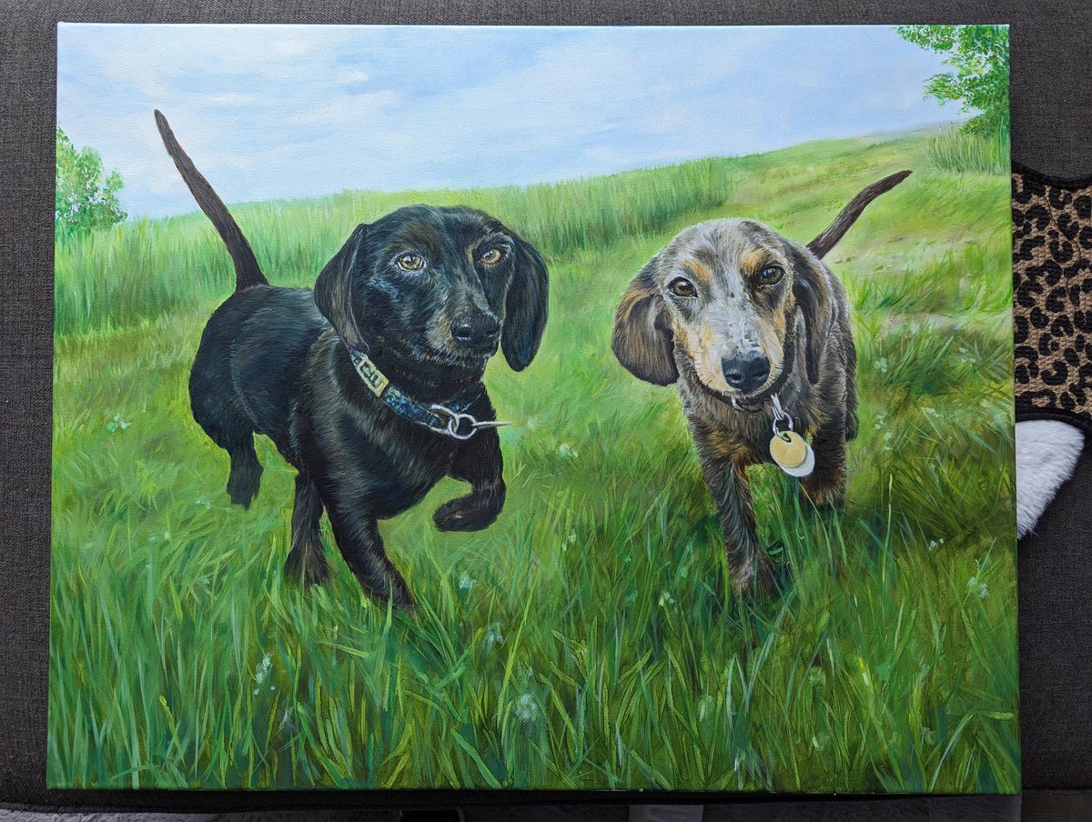 AKAYTek's tweet photo. Latest dog painting
Oil on canvas https://t.co/LBvkREcaOb